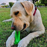 Dog Brushing Stick: The Revolutionary Way to Clean Your Dog’s Teeth (Vet Recommended)