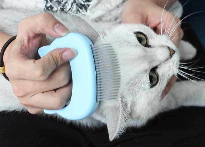 Cat Massage Comb