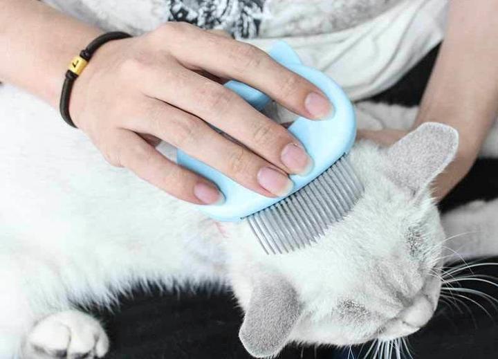 Cat Massage Comb