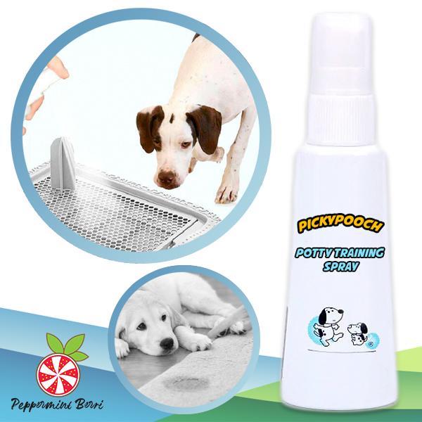 Potty Training Spray