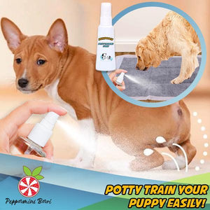 Potty Training Spray