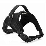 No Pull Dog Harness