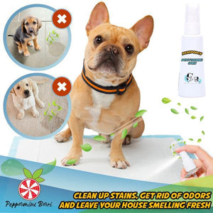 Potty Training Spray