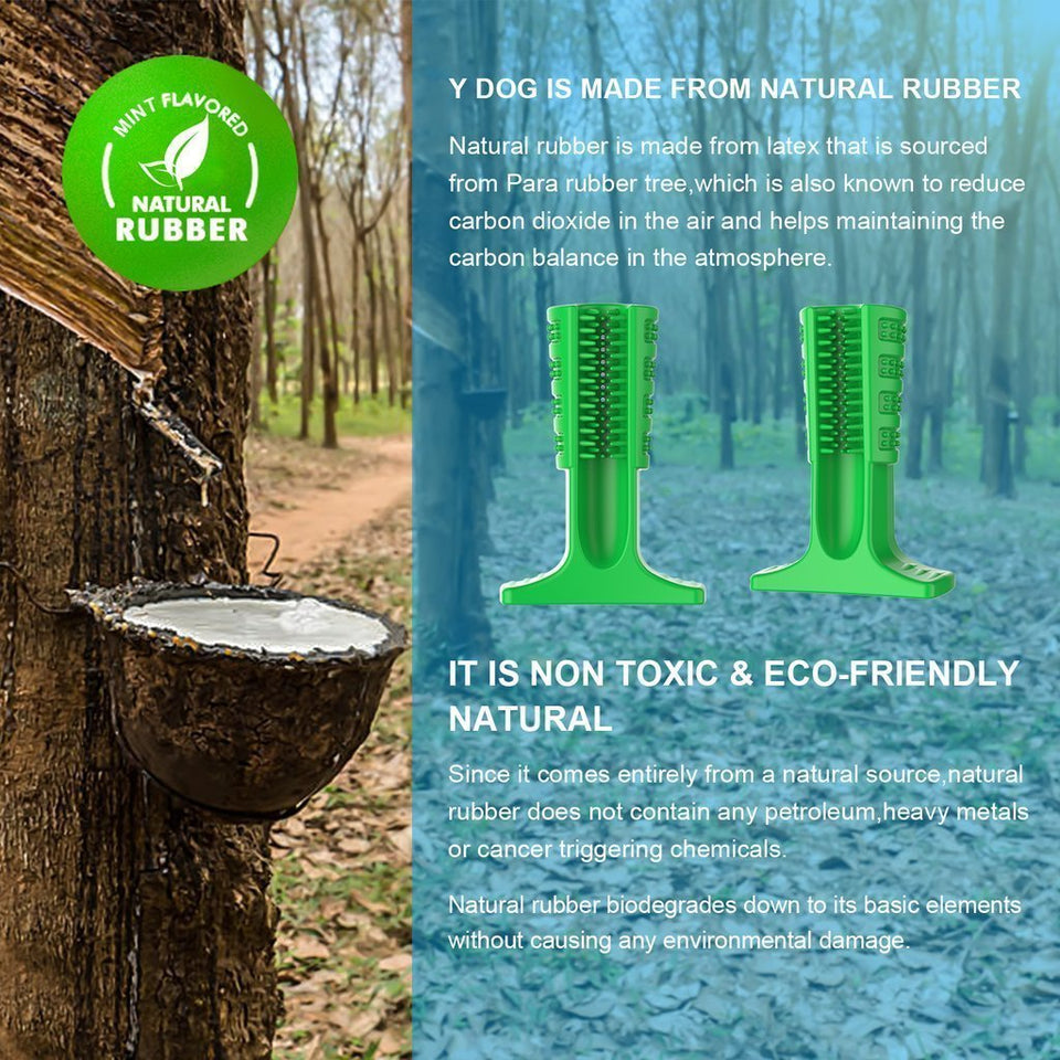 Dog Brushing Stick: The Revolutionary Way to Clean Your Dog’s Teeth (Vet Recommended)