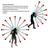 Workout Punching Ball